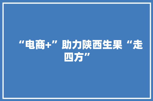“电商+”助力陕西生果“走四方” “电商+”助力陕西生果“走四方” 智能科技