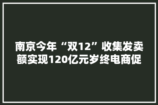 南京今年“双12”收集发卖额实现120亿元岁终电商促销打出“组合拳”