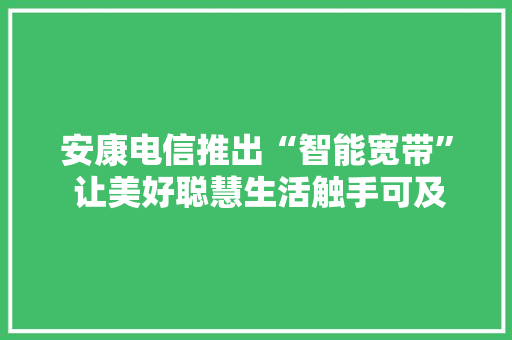 安康电信推出“智能宽带” 让美好聪慧生活触手可及