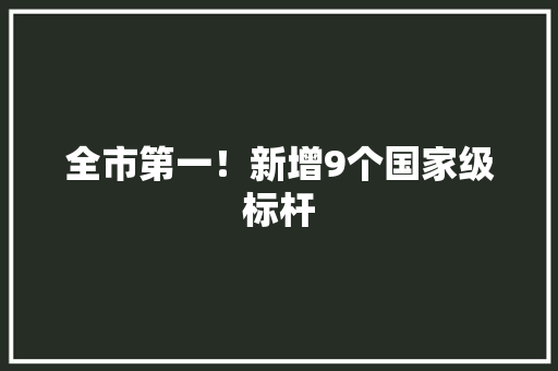 全市第一！新增9个国家级标杆 全市第一！新增9个国家级标杆 人工智能