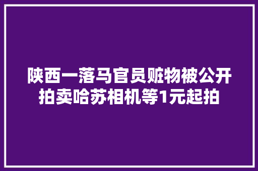 陕西一落马官员赃物被公开拍卖哈苏相机等1元起拍