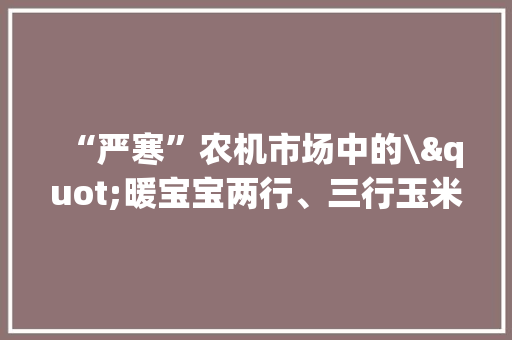 “严寒”农机市场中的\"暖宝宝两行、三行玉米机型成为主力军 “严寒”农机市场中的\"暖宝宝两行、三行玉米机型成为主力军 人工智能