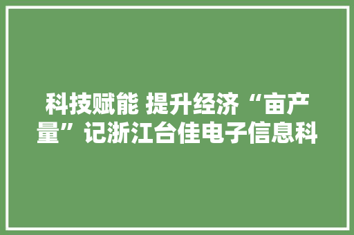 科技赋能 提升经济“亩产量”记浙江台佳电子信息科技有限公司 科技赋能 提升经济“亩产量”记浙江台佳电子信息科技有限公司 智能科技