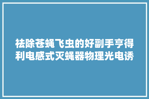 祛除苍蝇飞虫的好副手亨得利电感式灭蝇器物理光电诱杀飞虫