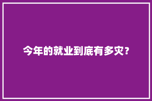 今年的就业到底有多灾？ 今年的就业到底有多灾？ 智能科技