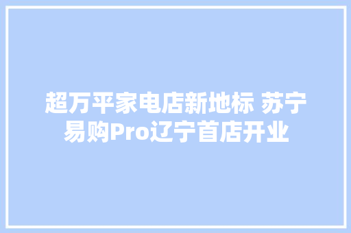 超万平家电店新地标 苏宁易购Pro辽宁首店开业 超万平家电店新地标 苏宁易购Pro辽宁首店开业 智能家居