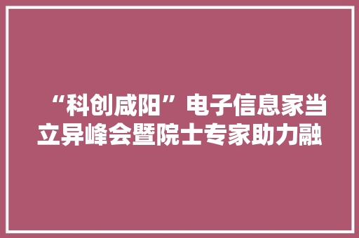 “科创咸阳”电子信息家当立异峰会暨院士专家助力融合成长论坛在咸阳高新区举行