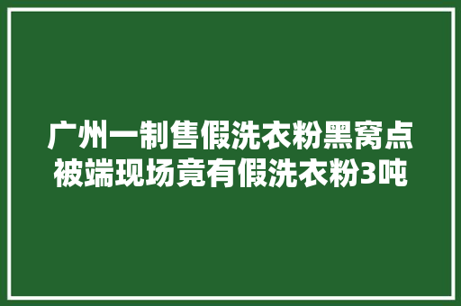 广州一制售假洗衣粉黑窝点被端现场竟有假洗衣粉3吨
