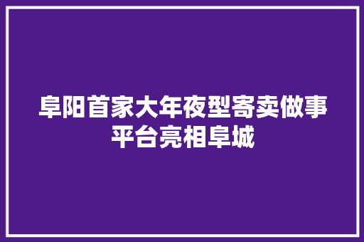 阜阳首家大年夜型寄卖做事平台亮相阜城