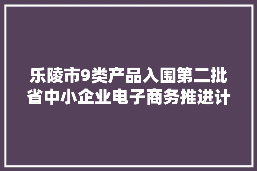 乐陵市9类产品入围第二批省中小企业电子商务推进计划