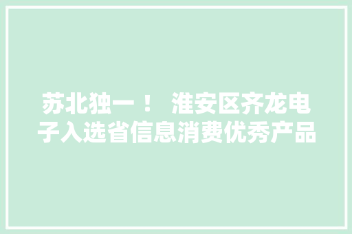 苏北独一 ！ 淮安区齐龙电子入选省信息消费优秀产品推广目录