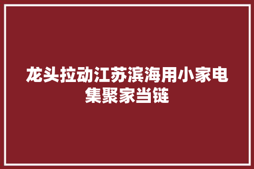 龙头拉动江苏滨海用小家电集聚家当链