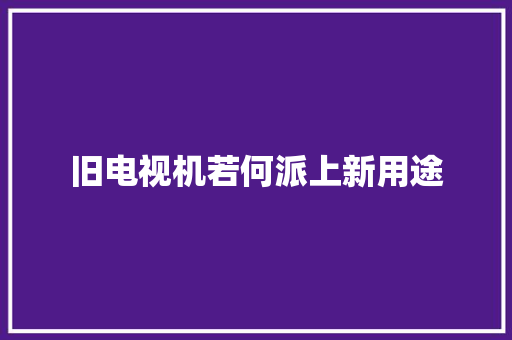 旧电视机若何派上新用途