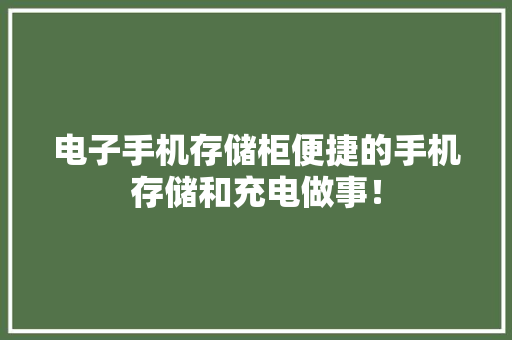 电子手机存储柜便捷的手机存储和充电做事！