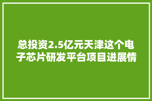 总投资2.5亿元天津这个电子芯片研发平台项目进展情况！