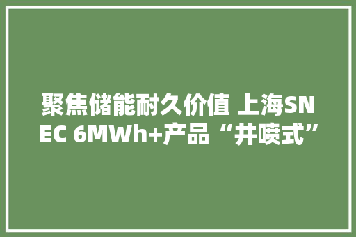 聚焦储能耐久价值 上海SNEC 6MWh+产品“井喷式”亮相 聚焦储能耐久价值 上海SNEC 6MWh+产品“井喷式”亮相 智能家居