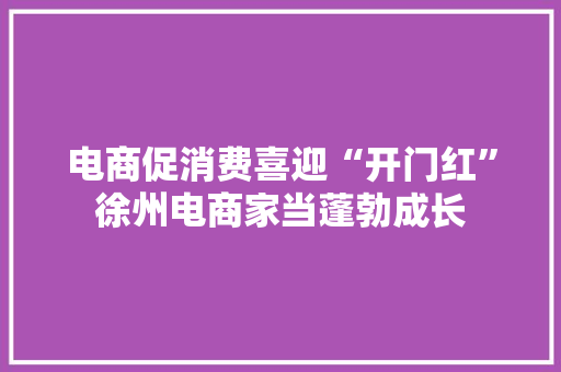 电商促消费喜迎“开门红”徐州电商家当蓬勃成长 电商促消费喜迎“开门红”徐州电商家当蓬勃成长 智能科技