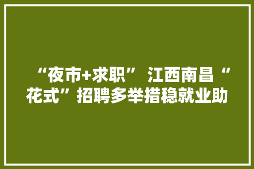 “夜市+求职” 江西南昌“花式”招聘多举措稳就业助创业