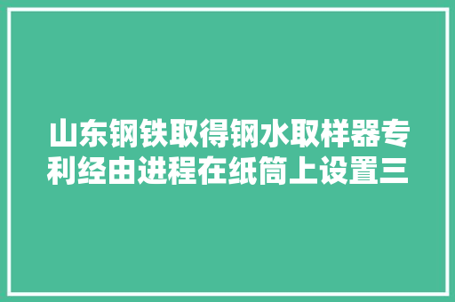 山东钢铁取得钢水取样器专利经由进程在纸筒上设置三个取样口一次取样同时获得不合钢水深度的三份样品