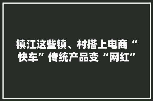 镇江这些镇、村搭上电商“快车”传统产品变“网红”