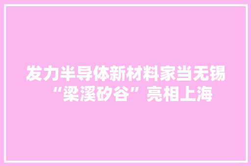 发力半导体新材料家当无锡“梁溪矽谷”亮相上海 发力半导体新材料家当无锡“梁溪矽谷”亮相上海 智能科技