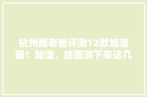杭州魏老爸评测12款加湿器！加湿、除菌测下来这几款不错！ 杭州魏老爸评测12款加湿器！加湿、除菌测下来这几款不错！ 人工智能
