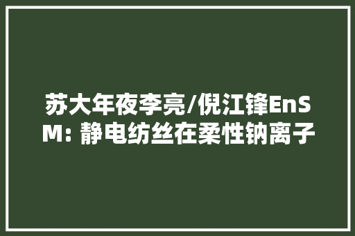 苏大年夜李亮/倪江锋EnSM: 静电纺丝在柔性钠离子的应用