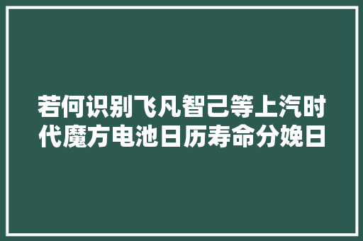 若何识别飞凡智己等上汽时代魔方电池日历寿命分娩日期 若何识别飞凡智己等上汽时代魔方电池日历寿命分娩日期 智能科技