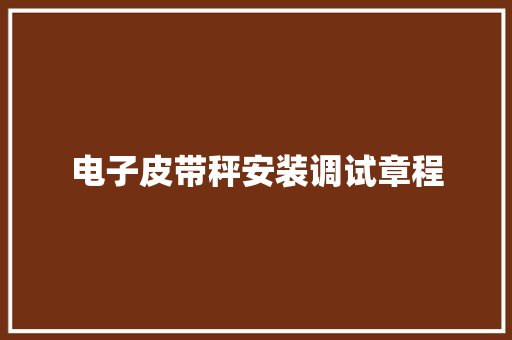 电子皮带秤安装调试章程