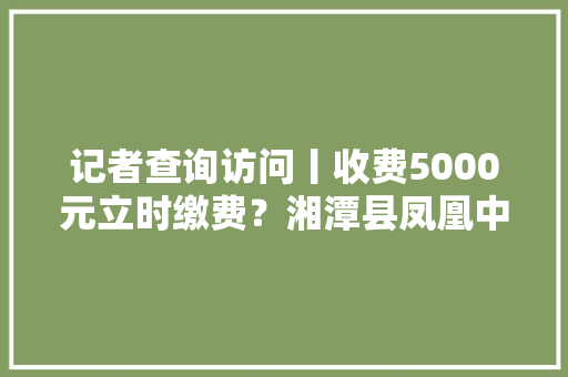 记者查询访问丨收费5000元立时缴费？湘潭县凤凰中学一举措引来家长质疑