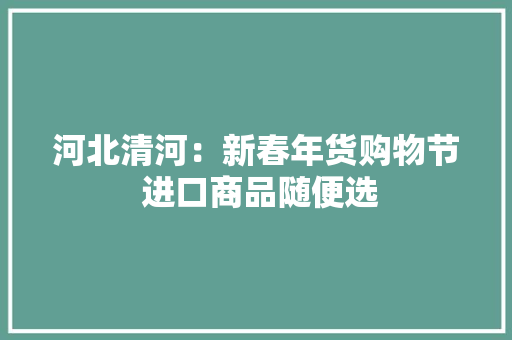 河北清河：新春年货购物节 进口商品随便选