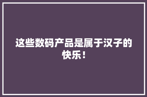 这些数码产品是属于汉子的快乐！