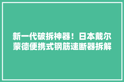 新一代破拆神器！日本戴尔蒙德便携式钢筋速断器拆解
