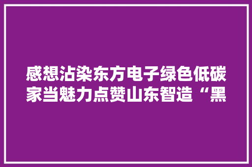 感想沾染东方电子绿色低碳家当魅力点赞山东智造“黑科技”
