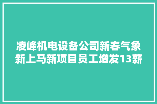 凌峰机电设备公司新春气象新上马新项目员工增发13薪、调资百分之十