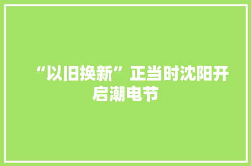 “以旧换新”正当时沈阳开启潮电节