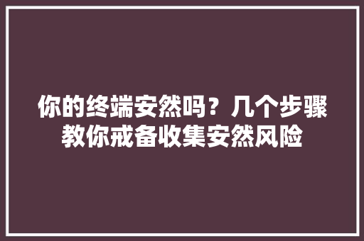 你的终端安然吗？几个步骤教你戒备收集安然风险