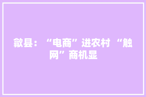 歙县：“电商”进农村 “触网”商机显