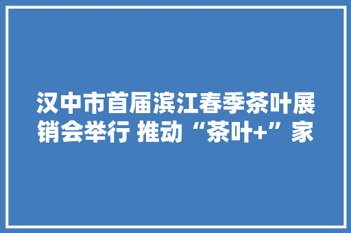 汉中市首届滨江春季茶叶展销会举行 推动“茶叶+”家当链延伸成长 汉中市首届滨江春季茶叶展销会举行 推动“茶叶+”家当链延伸成长 智能科技