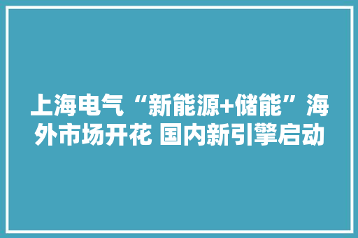 上海电气“新能源+储能”海外市场开花 国内新引擎启动