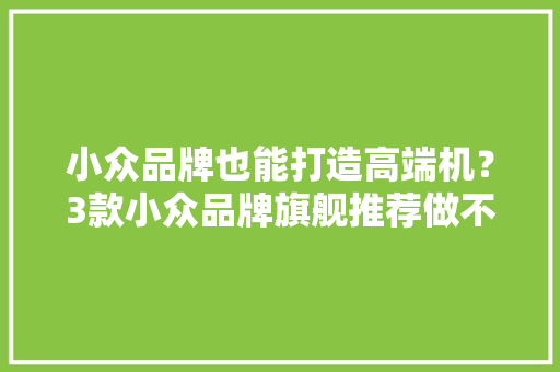 小众品牌也能打造高端机？3款小众品牌旗舰推荐做不一样的靓仔 小众品牌也能打造高端机？3款小众品牌旗舰推荐做不一样的靓仔 智能科技