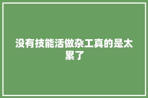 没有技能活做杂工真的是太累了