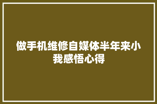 做手机维修自媒体半年来小我感悟心得