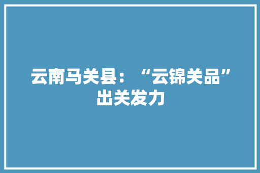 云南马关县：“云锦关品”出关发力 云南马关县：“云锦关品”出关发力 互联通信