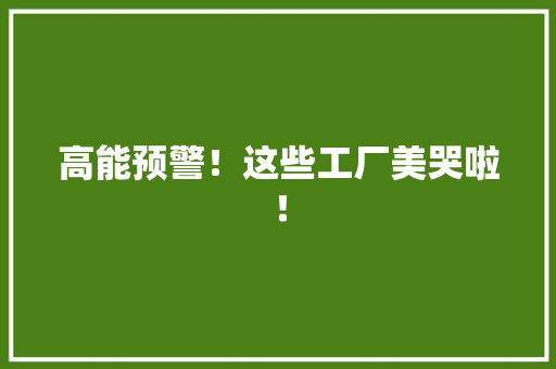 高能预警！这些工厂美哭啦！