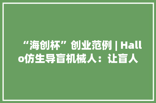 “海创杯”创业范例 | Hallo仿生导盲机械人：让盲人感想沾染世界的美好