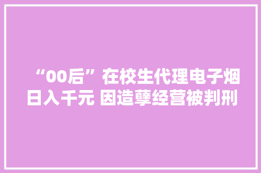 “00后”在校生代理电子烟日入千元 因造孽经营被判刑