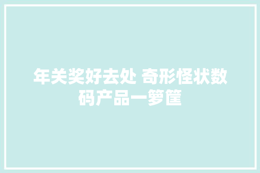 年关奖好去处 奇形怪状数码产品一箩筐 年关奖好去处 奇形怪状数码产品一箩筐 人工智能