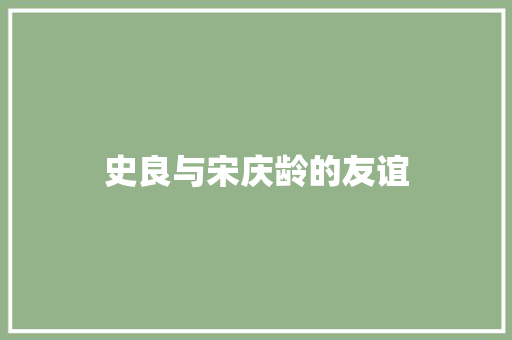 史良与宋庆龄的友谊 史良与宋庆龄的友谊 智能科技