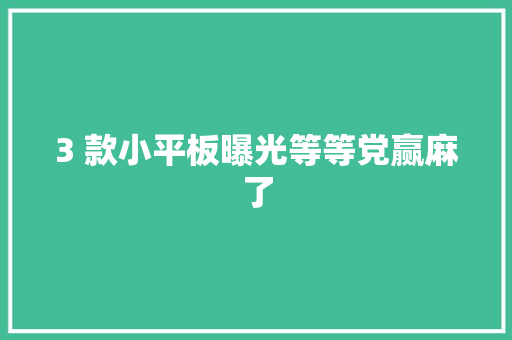 3 款小平板曝光等等党赢麻了